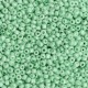 Glas rocailles kralen 11/0 (2mm) Spring bud green